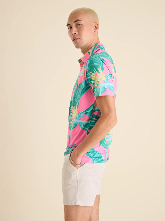 The Birds of Paradise (Performance Polo)