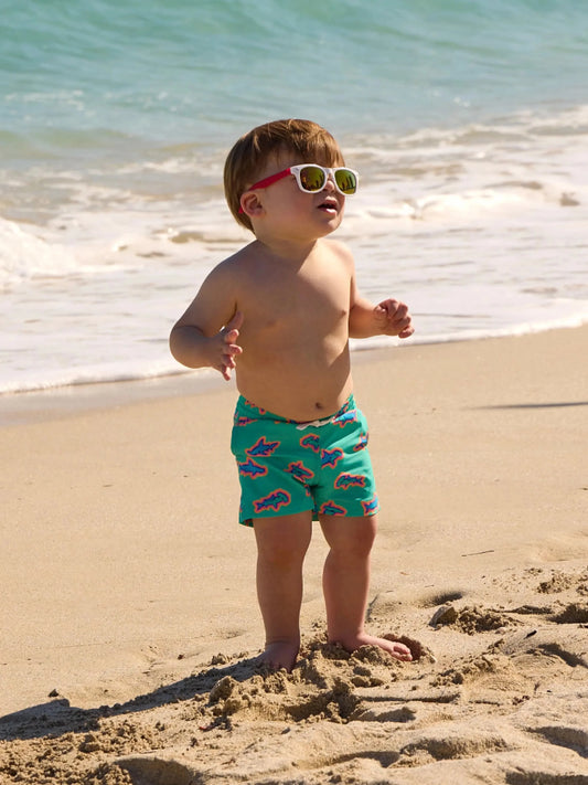 The Lil Swimmers (Toddler Swim)