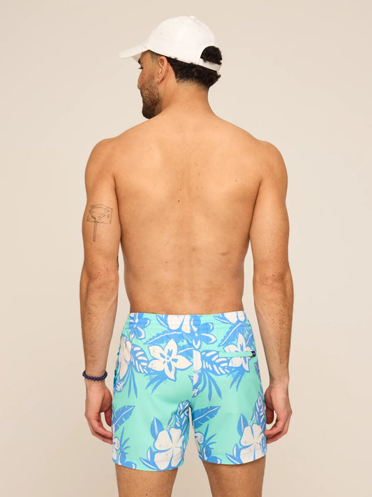 The Baja Breezies 5.5" (Classic Lined Swim Trunks)- Green