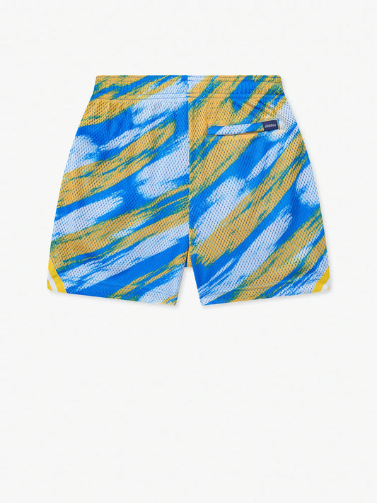 The Color Blitz Chargers (Boys Mesh Shorts)