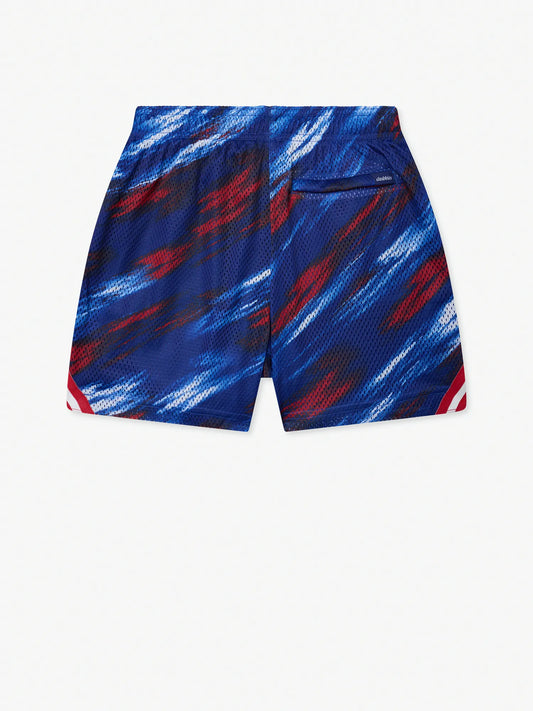 The Color Blitz Giants (Boys Mesh Shorts)