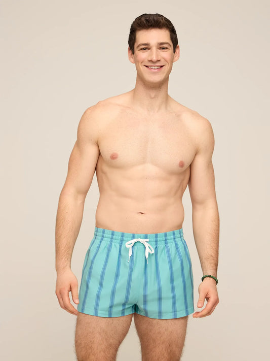 The Everpine Stripes 2" (Classic Lined Swim Trunk)